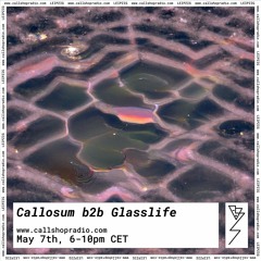 Callosum b2b Glasslife 6.5.22