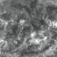 plasmic puncta