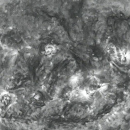 plasmic puncta