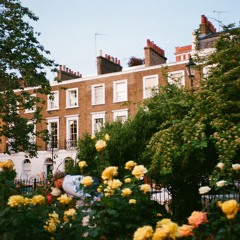 i can't give you (all that [you need])