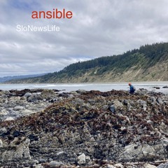 Ansible