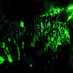 WILD ADRENALINE IN MY BLOOD