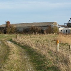 blé freestyle - ( prod.prest1ge1 )