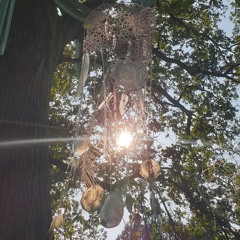 *Ecstatic Dance journey @ Wedding Dora & BenChi August, 2 - 2024*