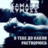 В тебе до капли растворюсь — cover