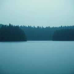 Stay With the Rain