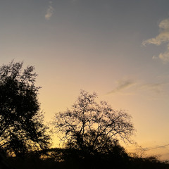 Go Home - Julien Baker (cover)