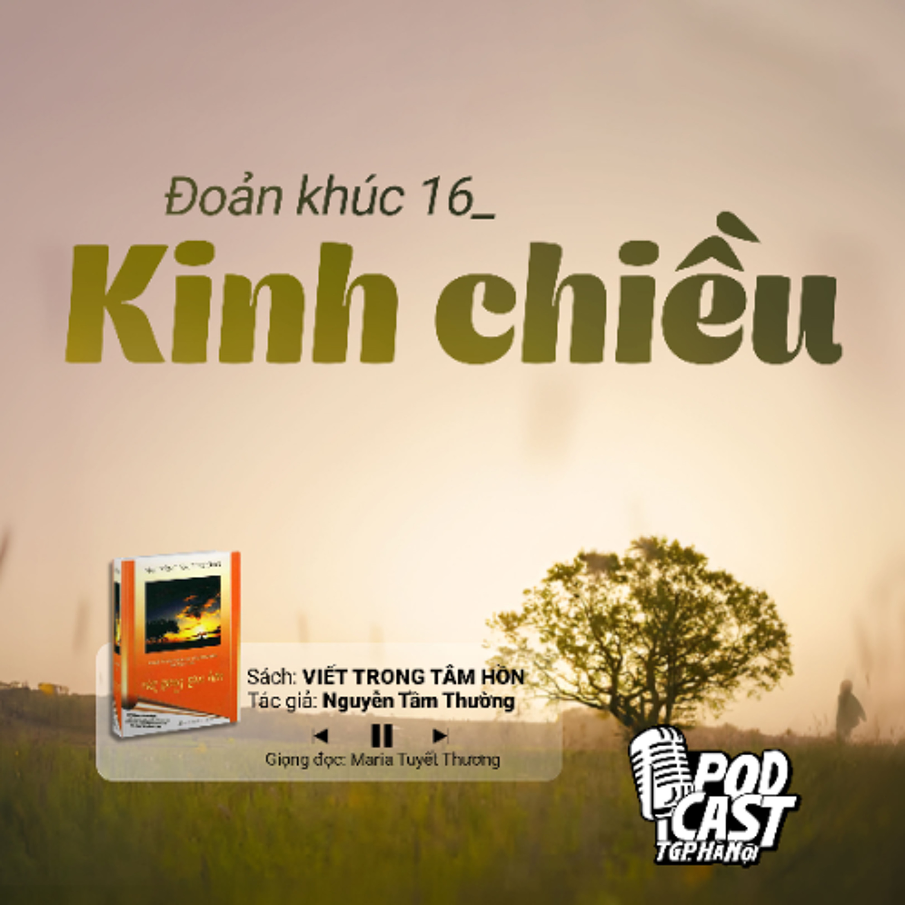 ĐK16: Kinh chiều (Tg. Nguyễn Tầm Thường) || Viết trong tâm hồn