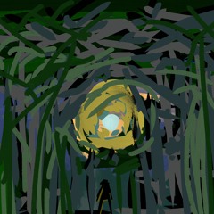 Through the Forest