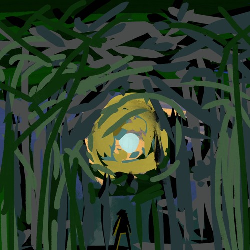 Through the Forest