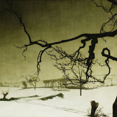 lil tony - woke up burnin (lebylevi)*flip*