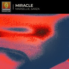 Marsellie, Sarza - Miracle (Extended Mix)