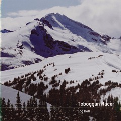 Toboggan Racer- Crescent Park