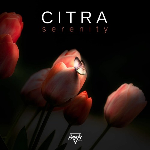 FXM022 - CITRA - Serenity