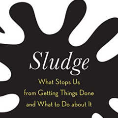 FREE PDF ✏️ Sludge: What Stops Us from Getting Things Done and What to Do about It by