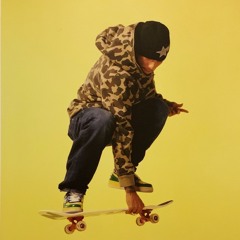 fly sh*t