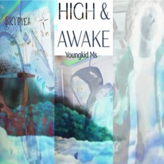 HIGH & AWAKE