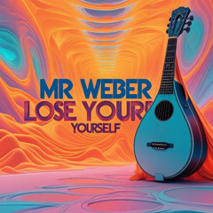 Mr Weber - lose yourself