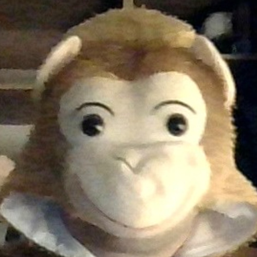 Monke