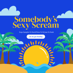 Somebody's Sexy Scream - Ste Mc Gee Bootleg