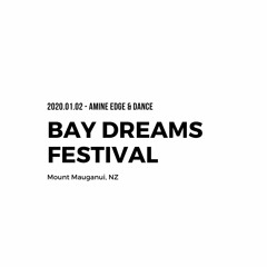 2020.01.02 - Amine Edge & DANCE @ Bay Dreams Festival, Mount Mauganui, NZ