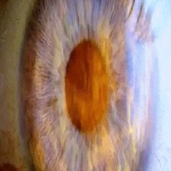 “E N L I G H T E N E D · I N · A L I G N M E N T”