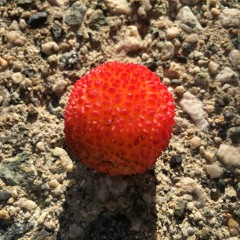 Something Else (Song For People Who Make Things)