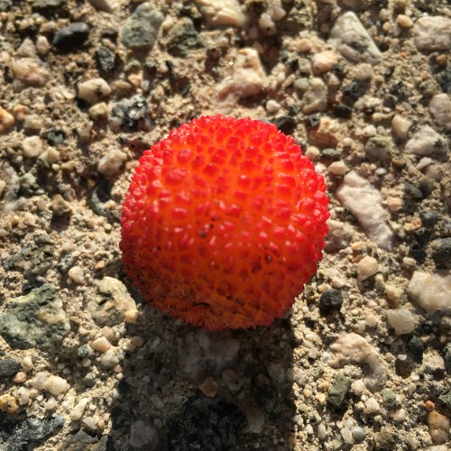 Something Else (Song For People Who Make Things)