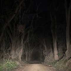 make room in hell (demo)