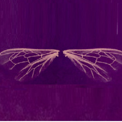 United We Stream //  Oktober 2025 // D J Spark  18 10 2025