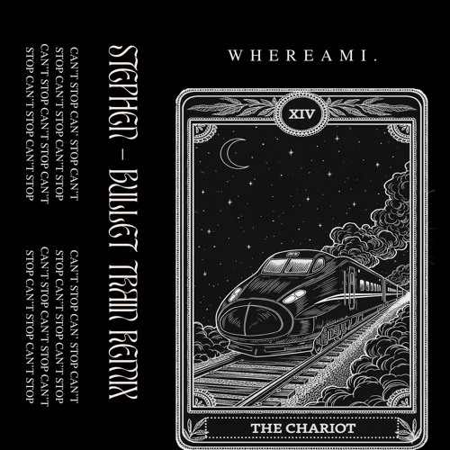Stephen Swartz - Bullet Train (whereami. Remix)