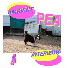 Ambient & Interieur 48 [Pea]