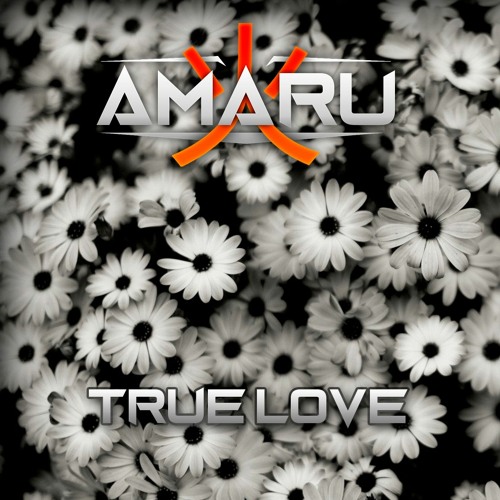 True Love (Original Mix)