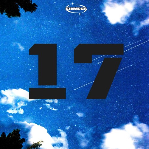 MK - 17 (SINVEGA REMIX)