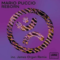 Mario Puccio - Reborn (Original Mix) [Intu Music]