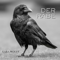 Der Rabe