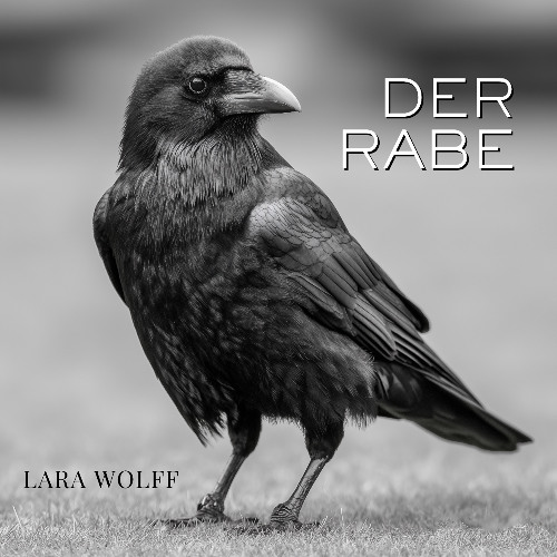 Der Rabe