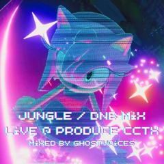 JUNGLE DNB MIX - Live @ Produce CCTX