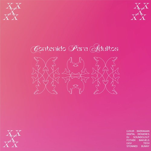 RNBD - Stonned Bunny