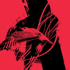Salon Hansen - Hardtecho Mix - 02/09/2023