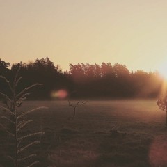 Fellow of Neringa - Giedrius Golden Parazyth '20