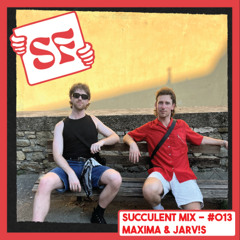 Succulent Mix #013 - Maxima & Jarv!s