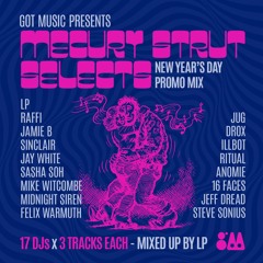 Mercury Strut Selects - A Party Promo Mix
