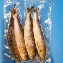 The Frozen Sardines..