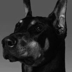 zastoe;) - travma bastarda.mp3