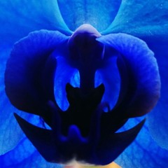 on-top-of-this-world.mp3