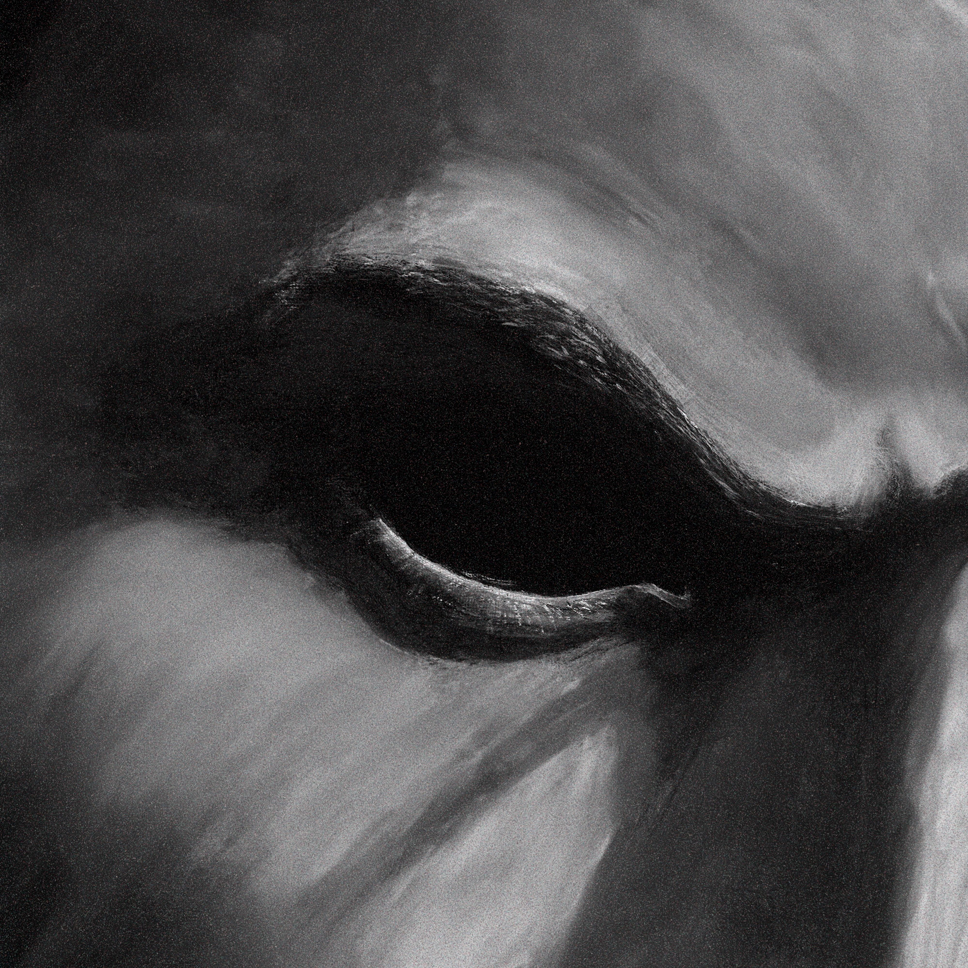 Behemoth