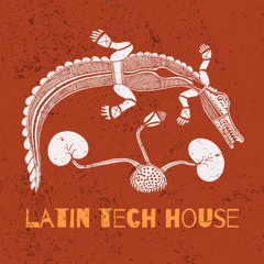 LATIN TECH HOUSE SET 2025 👺 | RBØR, HUGEL, AARON SEVILLA, TOPIC | Organic House, Afro House Mix