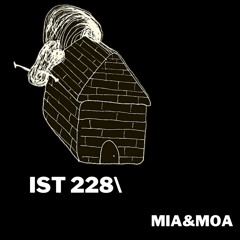 IST 228\mia&moa