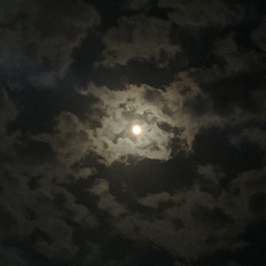 على حسب وداد قلبي❤️